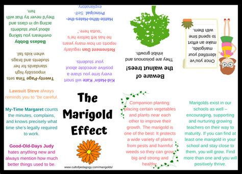 analogies that are similar to the marigold effect